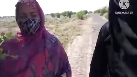 Creampied and fingered brunette after her dick sucking