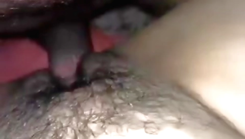 Amateur brunette hairy girl fucked in the beginning